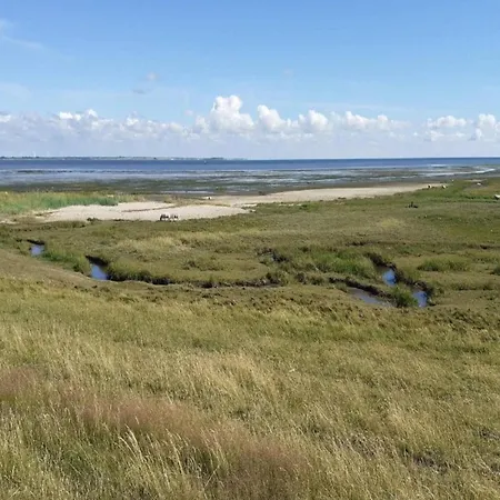 Nyaraló 6 Person In Romo-by Traum *