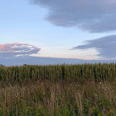 6 Person In Romo-by Traum Sønderby