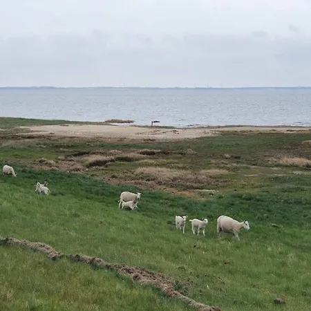 6 Person In Romo-by Traum بيت للعطل Sønderby