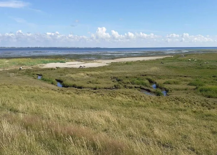 Vakantiehuis 6 Person In Romo-by Traum *