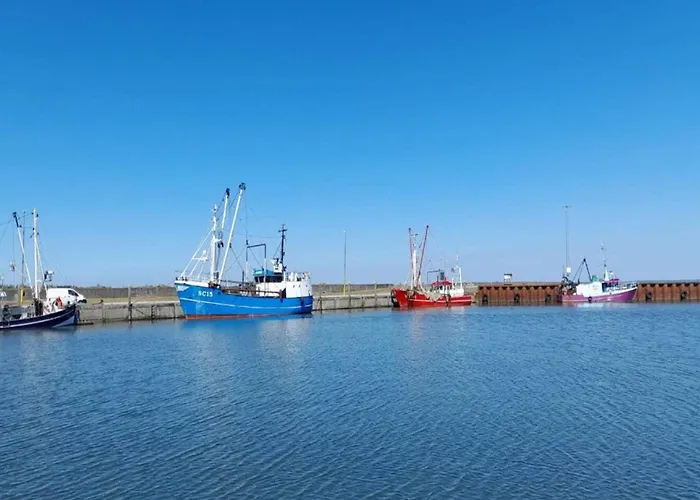 Vakantiehuis 6 Person In Romo-by Traum