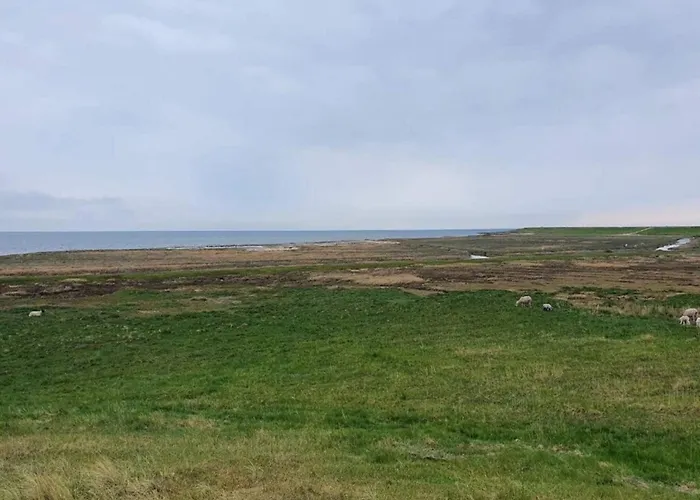 Vakantiehuis 6 Person In Romo-by Traum Sønderby