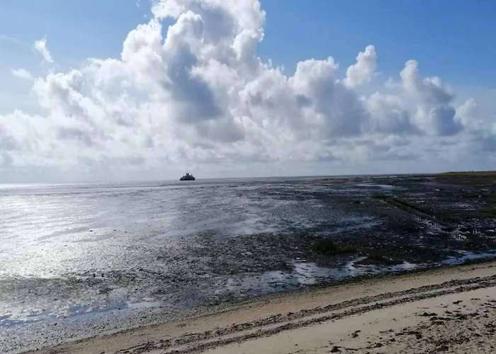 6 Person In Romo-by Traum