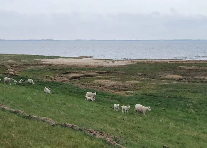 Vakantiehuis 6 Person In Romo-by Traum Sønderby