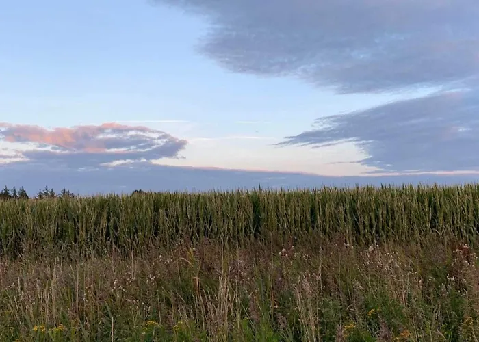 6 Person In Romo-by Traum Sønderby